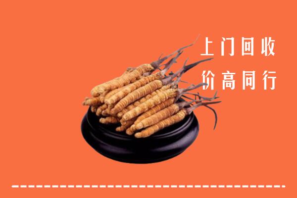 高价求购：额敏县回收散虫草