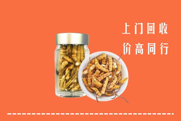 额敏县高价回收冬虫夏草